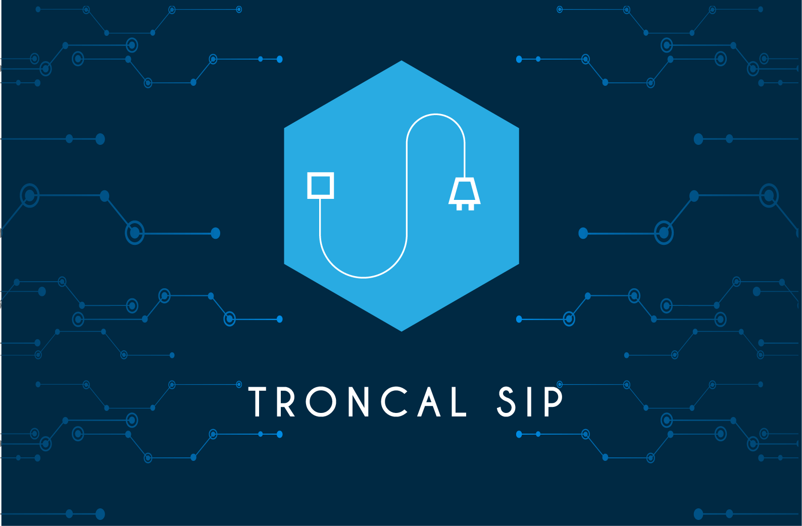 Troncal SIP Pyme y empresarial
